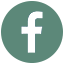 Facebook icon