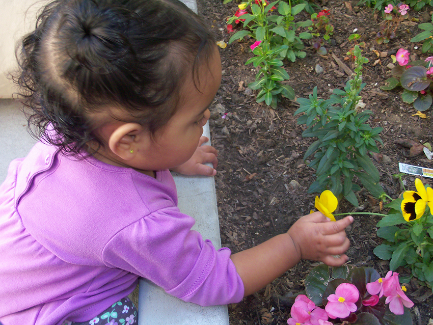 child picking flowers