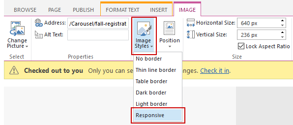 Responsive image style